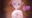 2026-07-06 17:18の投稿