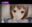 2026-07-12 19:50の投稿