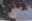 2026-07-15 21:56の投稿