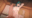 2026-07-19 20:00の投稿