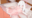 2026-07-19 00:00の投稿
