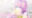 2026-07-27 21:00の投稿