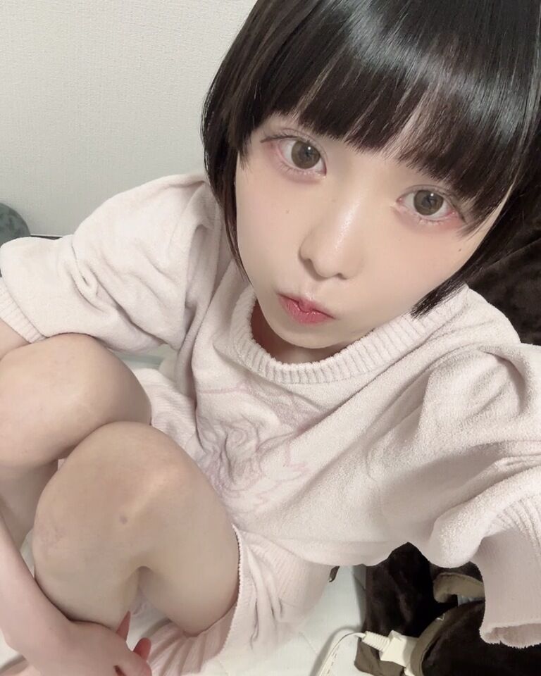 動画