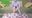 2026-07-29 17:00の投稿