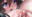 2026-08-04 00:06の投稿