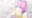 2026-08-12 21:00の投稿