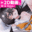 2026-08-11 20:37の投稿