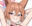 2026-08-15 00:00の投稿