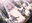 2026-08-18 00:00の投稿