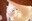 2026-08-21 12:33の投稿