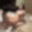 2026-08-24 19:02の投稿