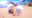 2026-08-28 00:00の投稿