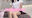2026-08-30 20:00の投稿