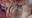 2026-08-30 20:55の投稿
