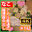 2026-09-05 20:00の投稿