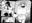 2026-08-31 19:37の投稿