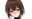 2026-09-03 19:44の投稿