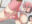 2026-09-08 19:53の投稿