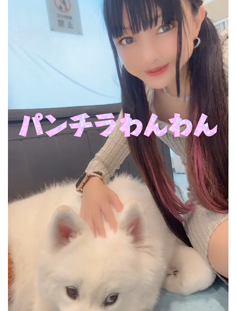 パンチラわんわん🩷