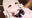 2026-09-14 00:00の投稿