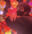 2026-09-23 19:00の投稿