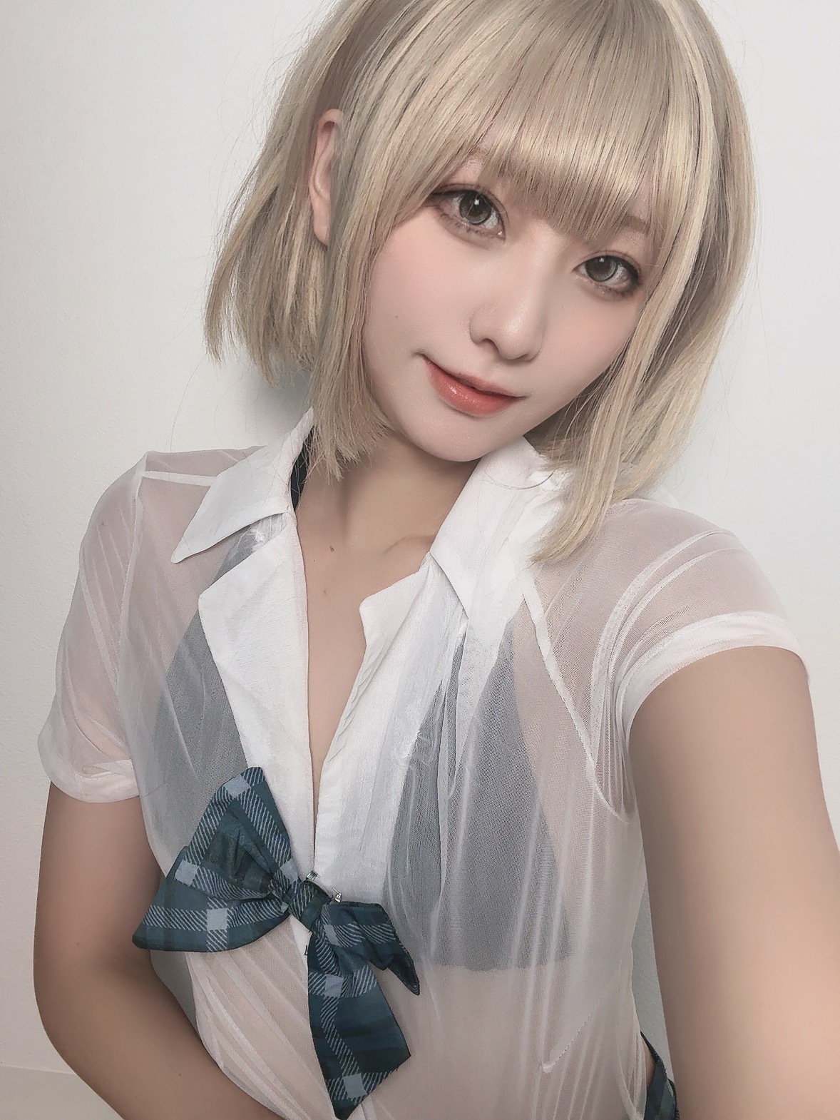 三色にゃんこ Spotlight #faptiai1