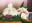 2026-10-02 00:00の投稿