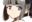 2020-08-15 17:56の投稿