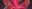 2020-09-01 05:59の投稿