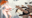 2020-09-19 17:54の投稿