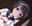 2018-04-04 00:06の投稿