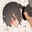 2020-10-15 20:54の投稿