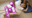 2020-10-25 06:54の投稿