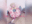 2020-10-27 19:41の投稿