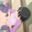 2018-04-21 01:06の投稿