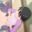 2018-04-28 07:19の投稿
