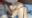 2020-11-19 17:00の投稿