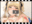 2020-12-11 18:00の投稿