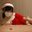 2020-12-20 20:00の投稿