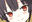2020-12-12 22:03の投稿
