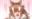 2020-12-13 11:06の投稿