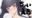 2020-12-18 17:44の投稿