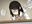 2020-12-23 23:24の投稿