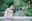 2021-01-02 01:16の投稿