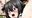 2021-01-11 15:08の投稿