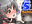 2018-05-24 05:27の投稿