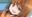 2021-01-17 20:11の投稿