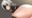 2018-05-25 19:56の投稿