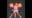 2021-02-01 00:00の投稿