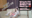 2021-01-29 10:05の投稿